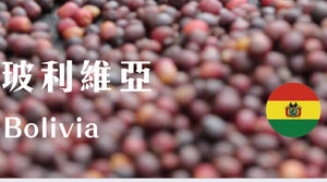 (限量批次賣完就沒了) 淺焙玻利維亞JAVA 二氧化碳浸漬處理(白葡萄酒.鳳梨) 227g